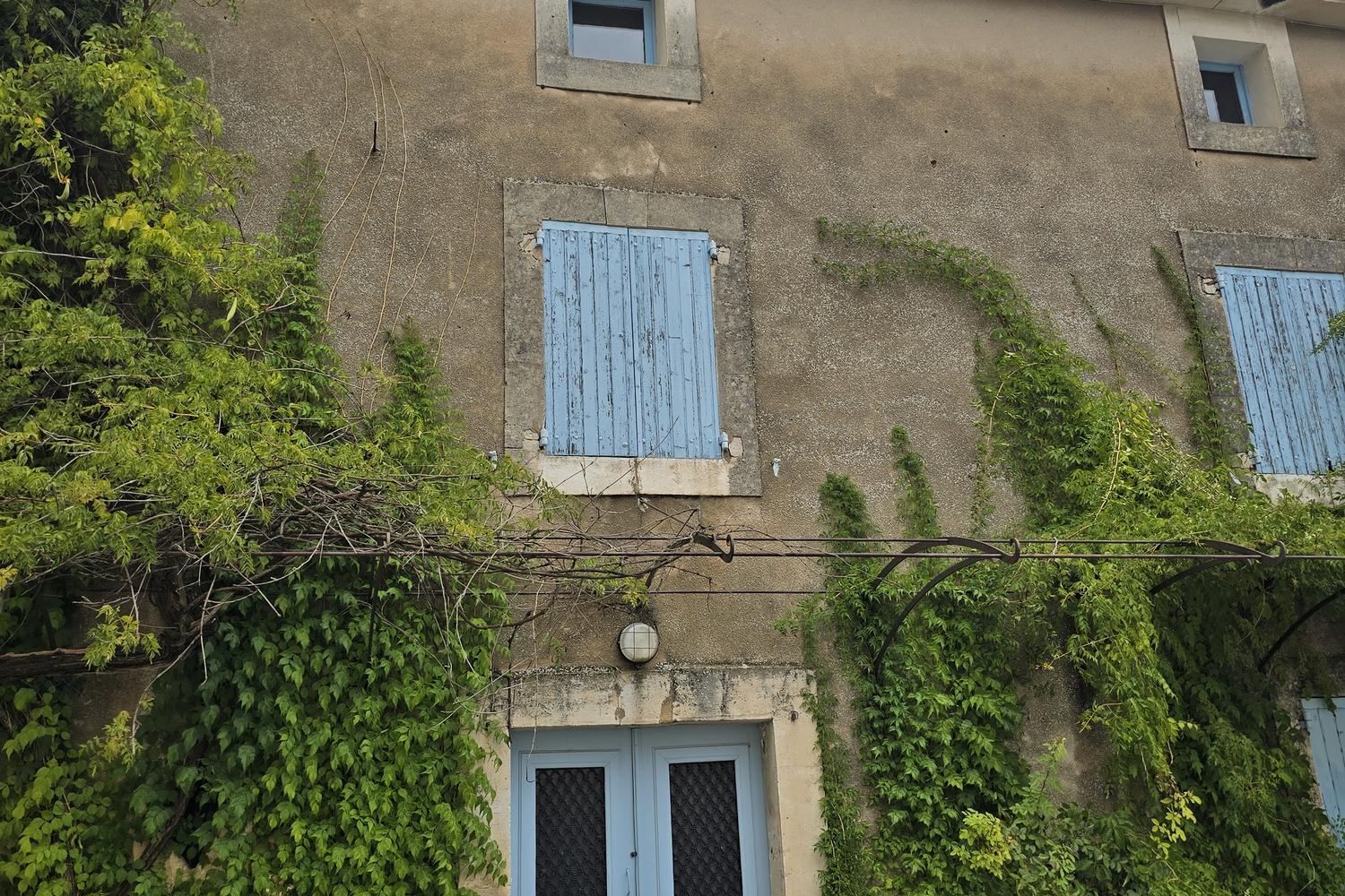 Casa de piedra cubierta de hiedra con postigos azules